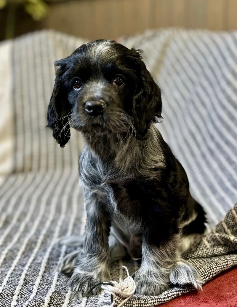 Walter